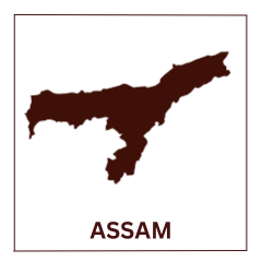 Assam Elections 2026